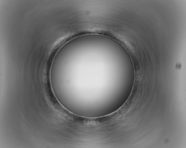 X0000090760587200708172049