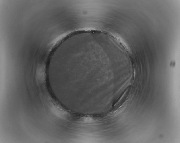 X0000090760588200708172049