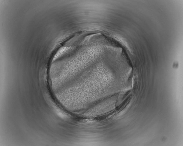 X0000090760589200708172049