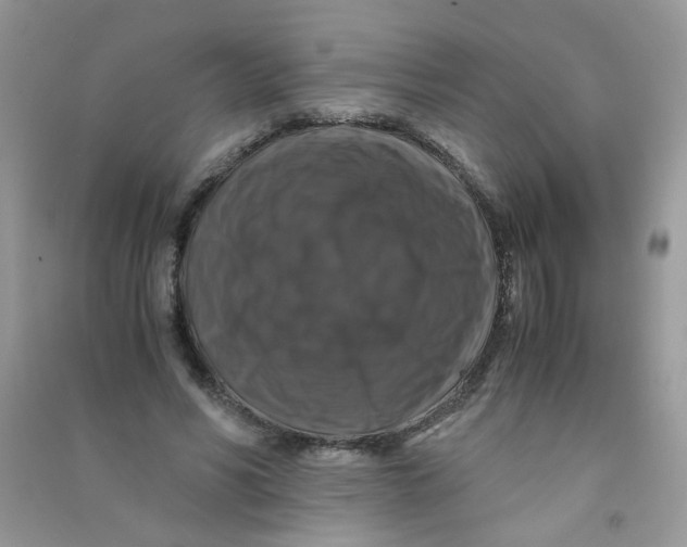 X0000090760590200708172049