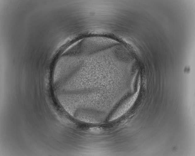 X0000090760591200708172049