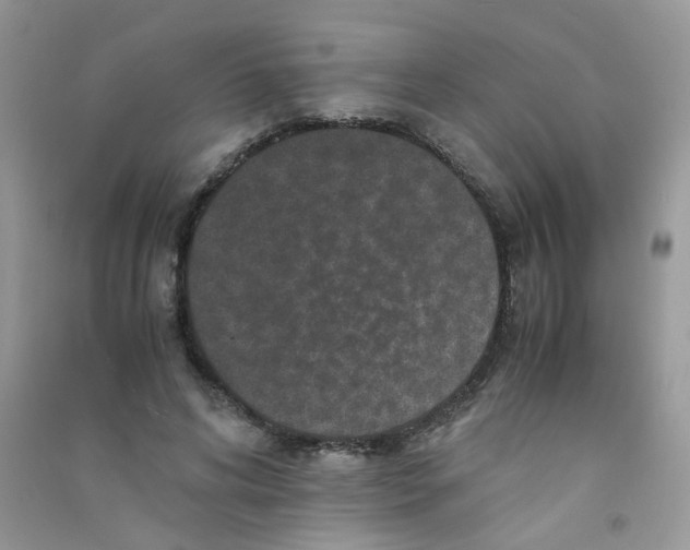 X0000090760592200708172049