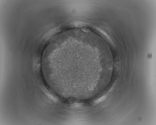 X0000090760593200708172049