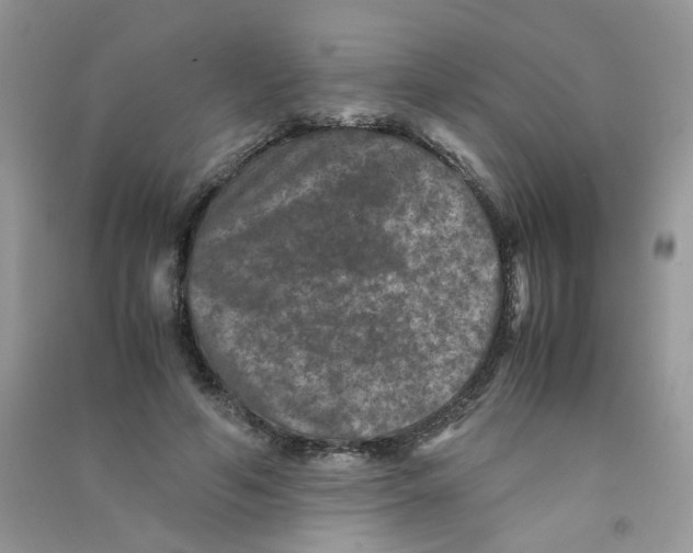 X0000090760594200708172049