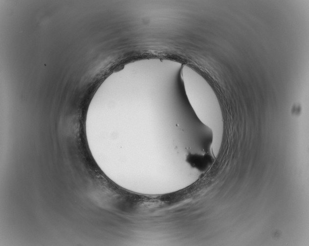 X0000090760595200708172049