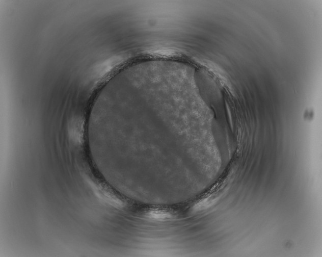 X0000090760596200708172049