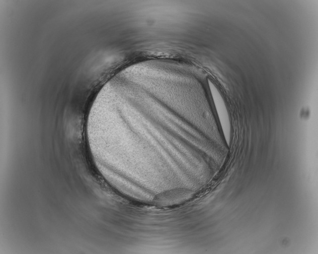 X0000090760597200708172049