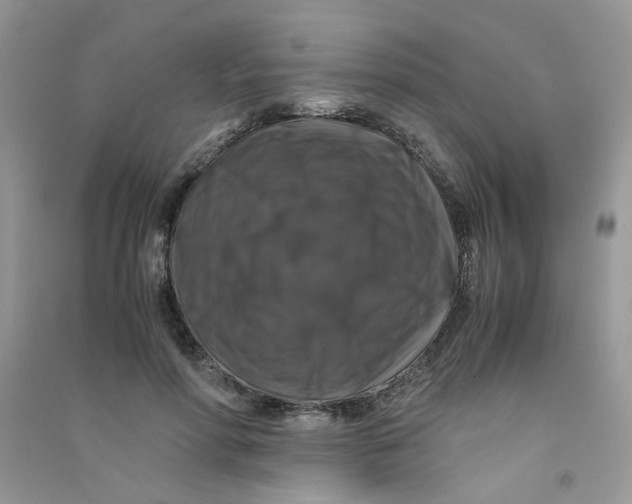 X0000090760598200708172049