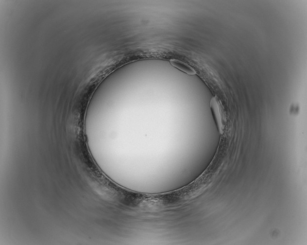 X0000090760599200708172049