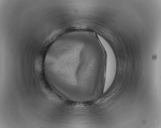 X0000090760600200708172049