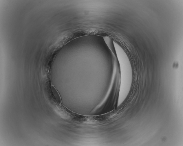 X0000090760601200708172049