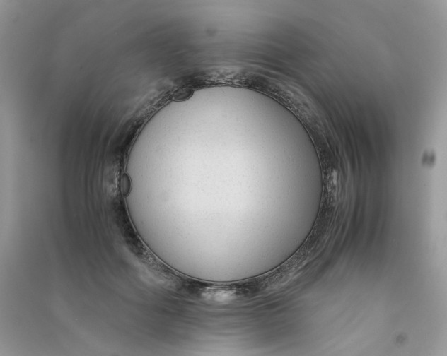 X0000090760602200708172049