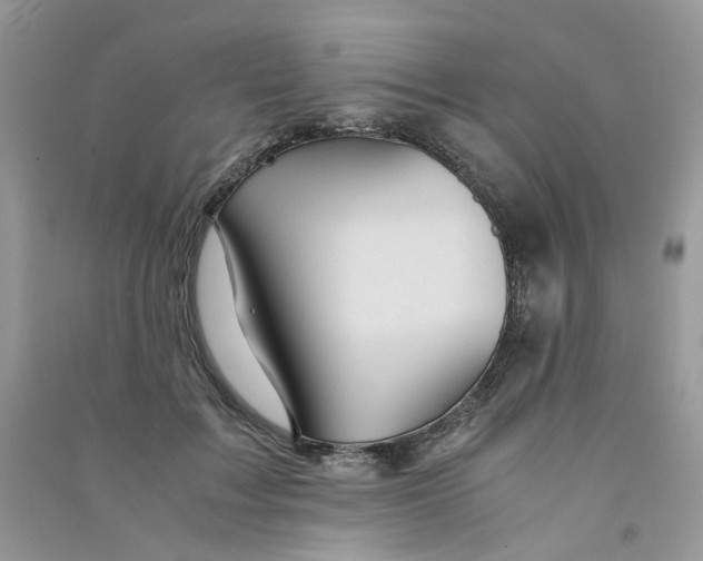 X0000090760603200708172049