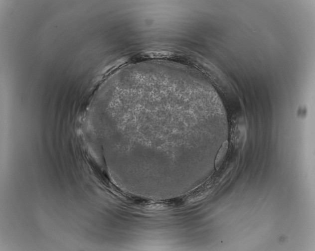 X0000090760604200708172049