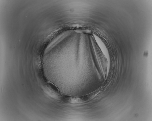 X0000090760605200708172049