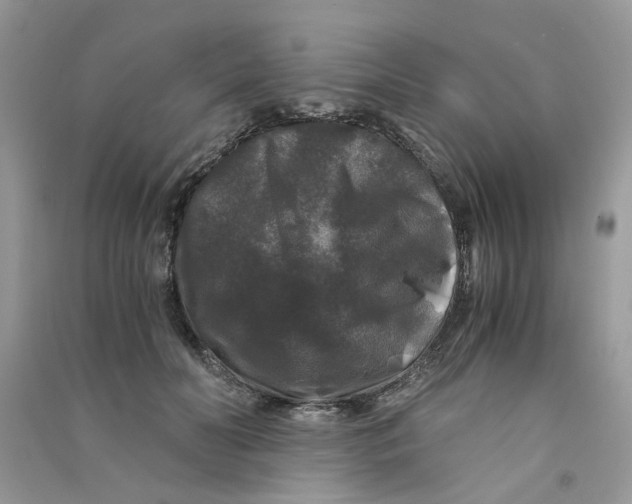 X0000090760606200708172049