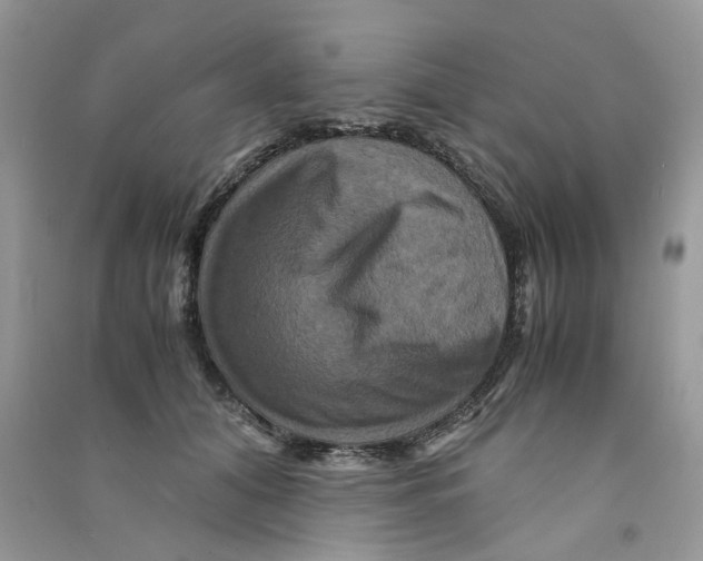 X0000090760608200708172049