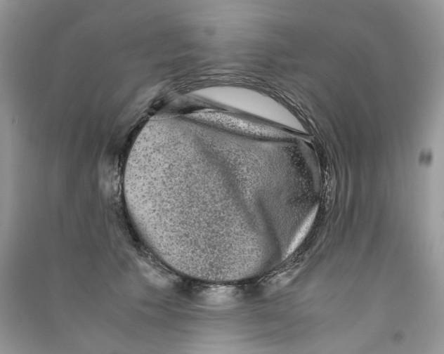 X0000090760609200708172049