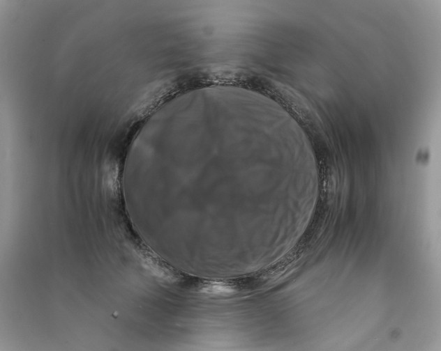 X0000090760610200708172049