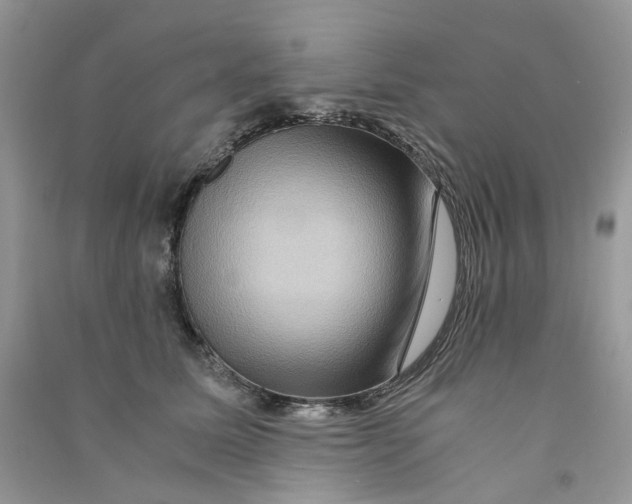 X0000090760611200708172049