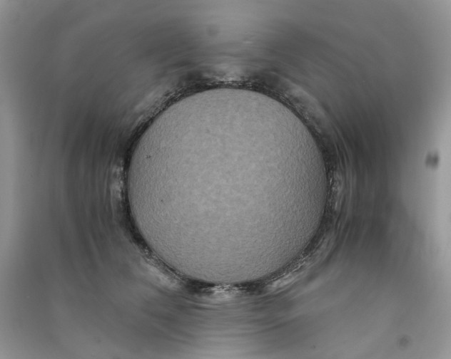 X0000090760612200708172049