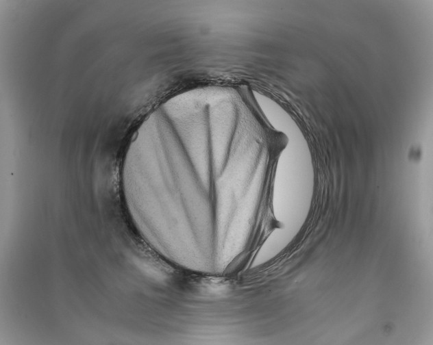 X0000090760613200708172049