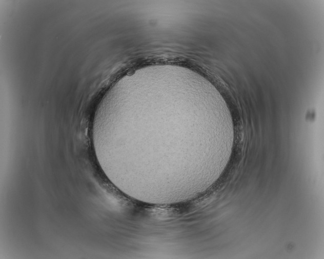 X0000090760615200708172049