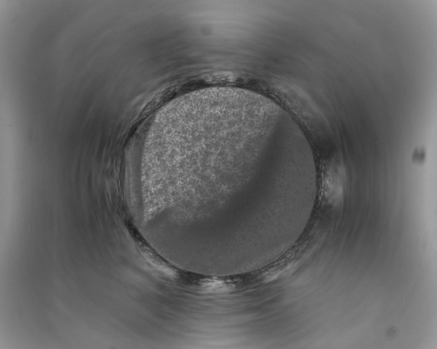 X0000090760616200708172049