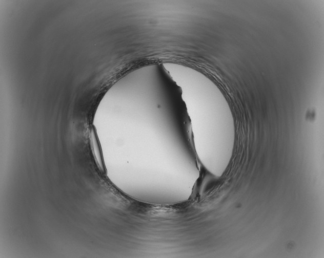 X0000090760617200708172049