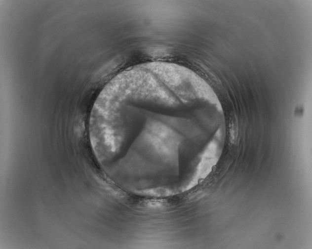 X0000090760618200708172049