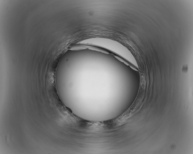 X0000090760621200708172049