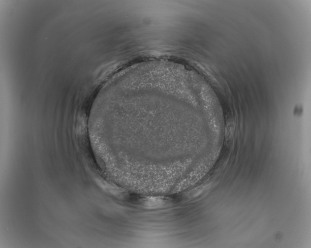 X0000090760623200708172049