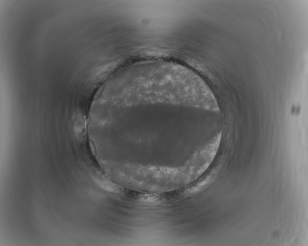 X0000090760624200708172049