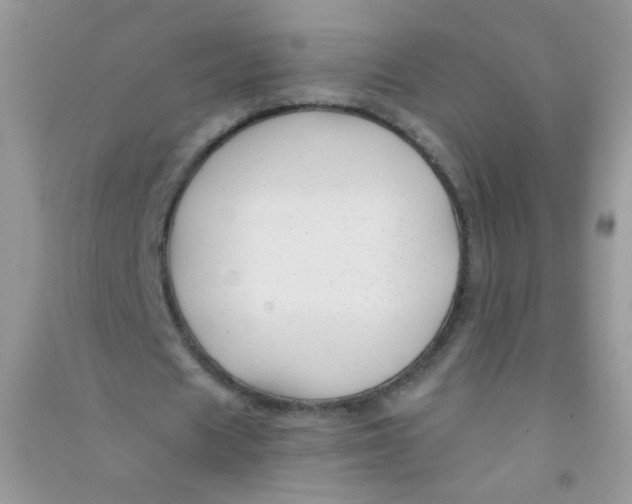 X0000090760625200708172048