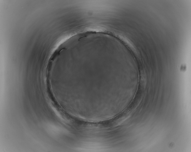 X0000090760626200708172048