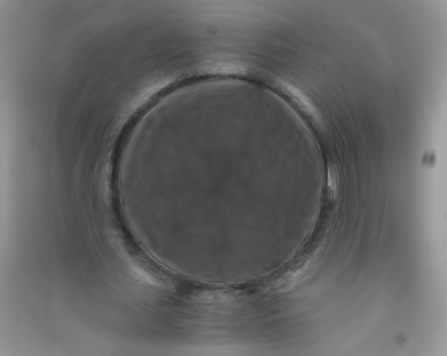 X0000090760627200708172048