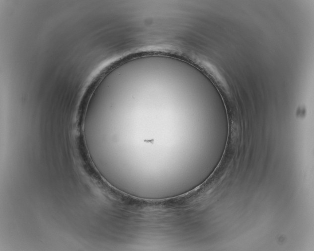 X0000090760628200708172048