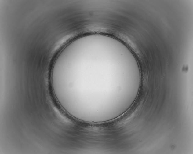 X0000090760629200708172048