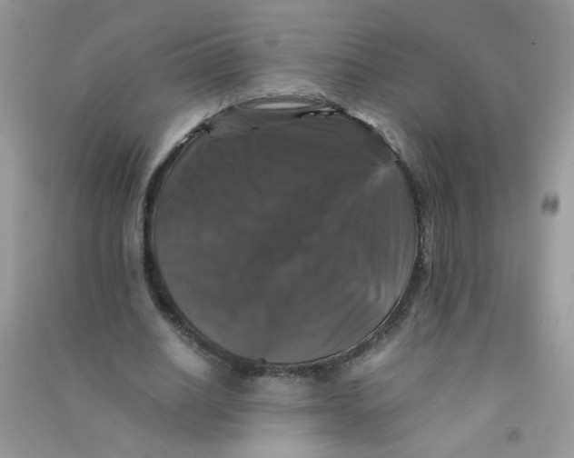 X0000090760630200708172048