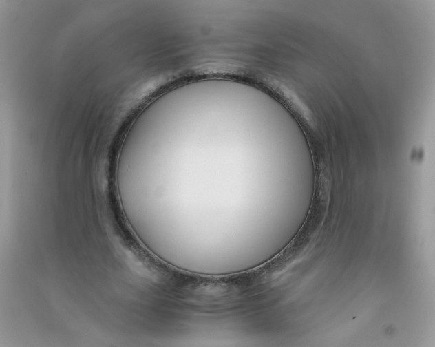 X0000090760631200708172048