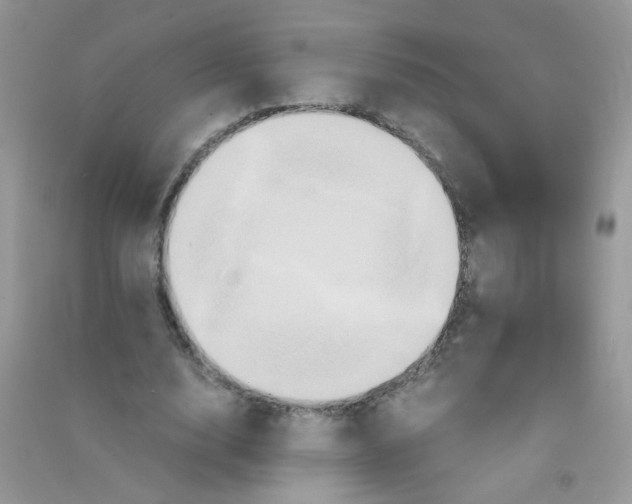 X0000090760632200708172048