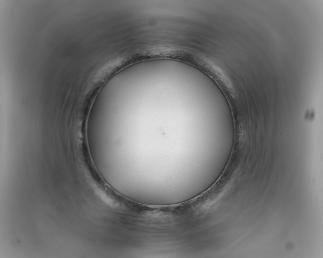 X0000090760633200708172048