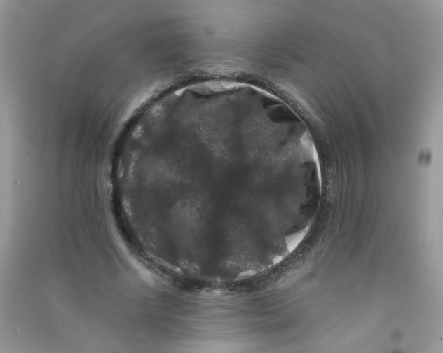 X0000090760634200708172048