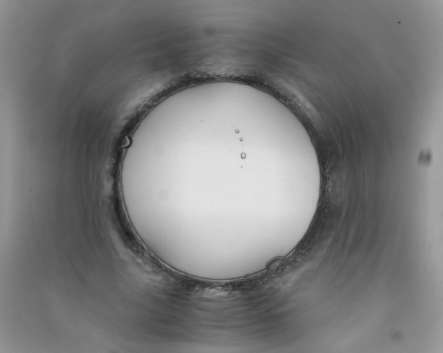 X0000090760635200708172048