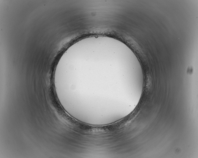 X0000090760636200708172048