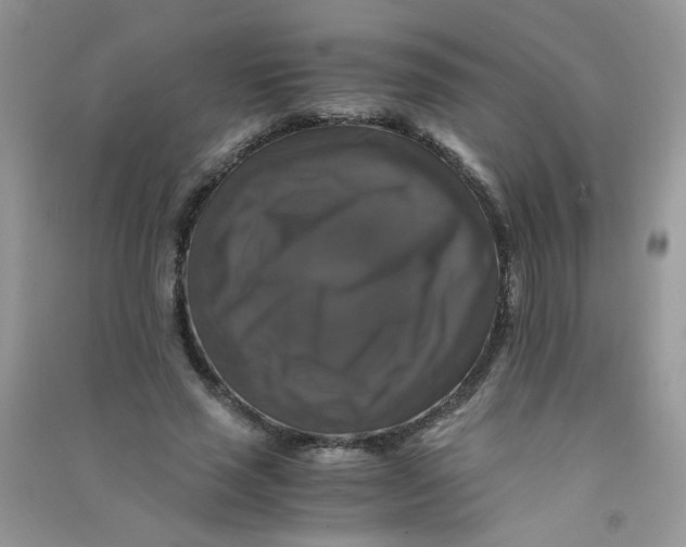 X0000090760637200708172048