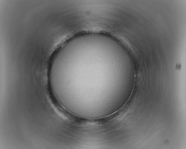 X0000090760638200708172048