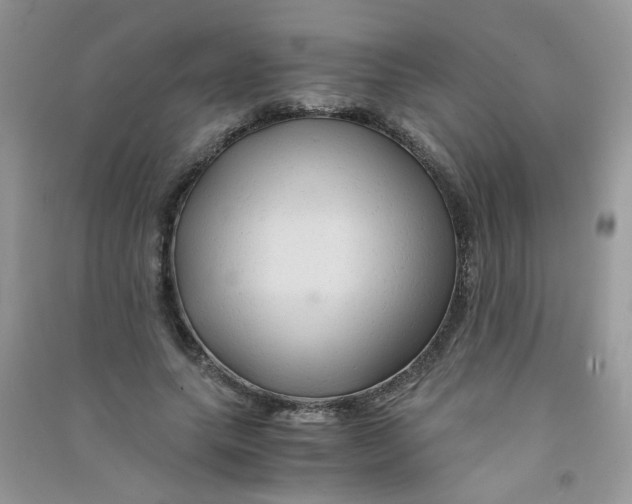 X0000090760639200708172048