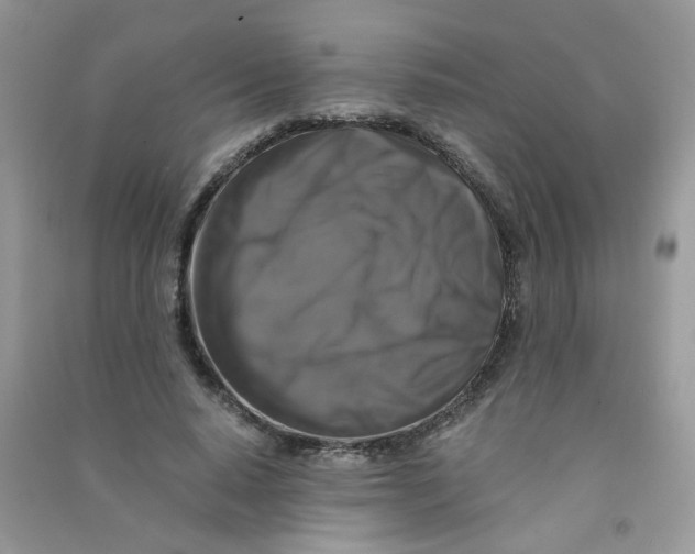 X0000090760640200708172048