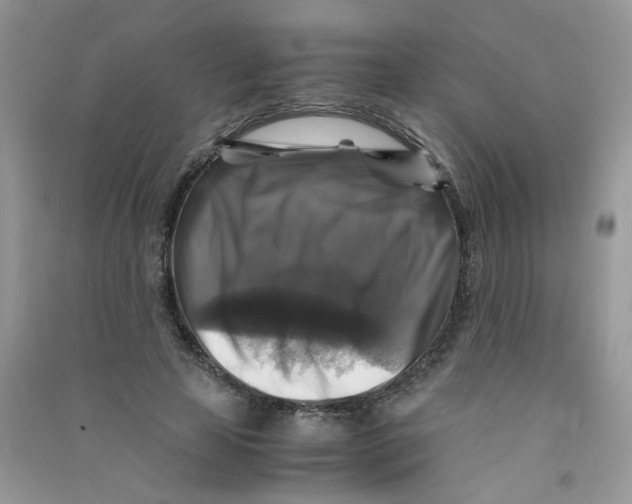 X0000090760641200708172048